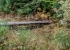 05102018-DSC_0075